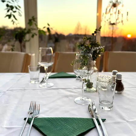 Sure By Western Rhoen Garden