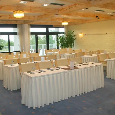 Sure By Western Rhoen Garden