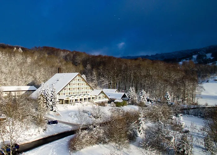 Western Rhön Garden 4*